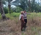 Cegah Karhutla, Polsek Batu Hampar Sosialisasikan Larangan Membakar Hutan dan Lahan