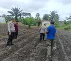 Polsek Kunto Darussalam Cek Perkembangan Jagung Pipil, Ajak Petani Dukung Swasembada Pangan Nasional