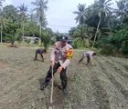 Polsek Kunto Darussalam Turun Kelapangan, Gencarkan Program Polisi Cinta Petani
