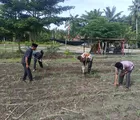 Polisi Cinta Petani Polsek Kunto Darussalam, Cek Perkembangan Tanaman Jagung di Desa Pasir Luhur