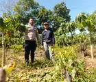Dukung Program Ketapang, Bhabinkamtibmas Polsek Rumbai Barat Sambangi Kebun Petani Pepaya 