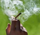 Ternyata Ini Penyebabnya: Tak Hisap Ganja Tapi Terpapar dan Positif