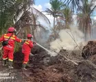 Lakukan Pemadaman Karhutla di Pasir Limau Kapas dan Kandis, Tim Manggala Agni Terkendala Cuaca Panas Ekstrem