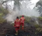 Ini Perkembangan Hasil Upaya Pemadaman Karhutla di Riau pada Hari ke-3