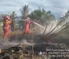 Tantangan Terberat Penanganan Karhutla di Riau Terdapat di Pelalawan
