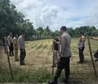 Kapolsek Tapung Tinjau Langsung Tanaman Jagung Pipil di Desa Batu Gajah, Panen di Bulan September 2026