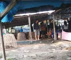 Praktik Judi Sabung Ayam di Pemalang Bebas Beroperasi