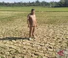 BMKG: Sebagian Sumatera Diprediksi Alami Puncak Kemarau Juli 