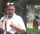 Disorot, Dugaan PTPN IV Kebun Gunung Monako Abaikan APD dan Seragam Dinas Pemanen Sawit