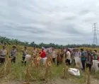 Polsek Batu Hampar Panen Raya Jagung Kuartal II 2026, Wujud Dukungan Polri terhadap Swasembada Pangan Nasional