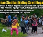 Sidang Praperadilan PN Bengkalis, Batalkan Status Tersangka Manajer KSO Agrinas Rasiman Manurung