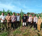 Kapolsek Tapung Bersama Perangkat Desa Sei Putih Laksanakan Pengecekan Tanaman Jagung Pipil