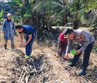 Dukung Program Ketahanan Pangan, Polsek Rengat Barat Tanam Kembali Lahan Gagal Panen Akibat Cuaca