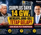 Surplus Daya 14 GW, Mengapa Jawa-Bali Tetap Gelap? CERI Desak PLN Transparan