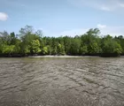 Kepala Desa Batang Sari Ajak Masyarakat dan Pemilik Kebun Sawit Jaga Ekosistem Mangrove serta Kamtibmas