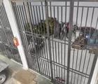 Fakta Di Balik Ruangan Kejari Palopo, Status Sejumlah Tabung LPG Masih Menunggu Penjelasan