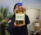 Mengenal Kelebihan dan Kekurangan B50, yang Telah Resmi Dipasarkan