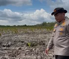 Kapolda Riau Cek Langsung Lokasi Perusakan Mangrove Seluas 118 Hektare di Rohil, 2 Pelaku Ditangkap