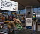 Tikus Bawa Virus: Soetta Perketat Pengawasan Virus Hanta dari Penumpang Internasional