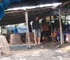 Polisi Diminta Tindak Tegas Dugaan Judi Sabung Ayam di Pemalang, Warga Soroti Aktivitas yang Terus Berjalan