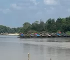Krisis Ekosistem: Tambang Emas Ilegal Marak di Sungai Kuantan Riau