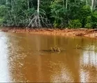 Keruh di Teluk Buli: Desakan Audit Lingkungan PT Feni Haltim Menguat