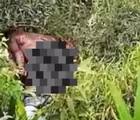 Misteri Jasad Pria di Kawasan Pucuk Rantau, Polisi Buru Identitas Korban