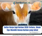 Daftar Harga Sapi Kurban 2026 Terbaru, Simak Tips Memilih Hewan Kurban yang Sehat