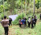 Polres Lhokseumawe Musnahkan Ladang Ganja Seluas 4 Hektare, Belasan Ribu Batang Tanaman Ganja Dimusnahkan