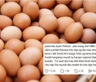 MBG Disorot, Peternak Ungkap Dugaan Permintaan Markup Harga dan Telur Tak Segar