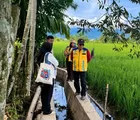 TKD Nagan Raya Dipercepat untuk Pulihkan 57 Ribu Hektare Sawah Terdampak Bencana