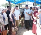 Payakumbuh Kembali Terima Kurban Presiden, Sapi Hasil IB Lokal Dipilih Setelah Seleksi Ketat