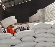 Badan Pangan Nasional Bakal Salurkan 30 Kilogram Beras Kepada 33 Juta Keluarga