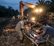 Diterkam Harimau Saat Hendak BAB, Suara Mesin dan Sorotan Lampu Berhasil Selamatkan Nyawa Harianto