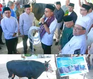 Sapi Kurban Presiden "Siloam" 1,1 Ton Diserahkan di UMK, Gubernur NTT: Ini Simbol Solidaritas dan Gotong Royong