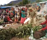 Papua Pegunungan Membangun Koperasi Untuk Menampung Hasil Bumi Masyarakat