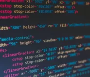Gencar Beritakan Dugaan Korupsi, Media Mitra Promedia Group Dihantam Serangan DDoS hingga 160 Juta Request