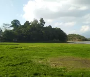 Debit Air Situ Gede Surut Drastis, 250 Hektare Lahan Pertanian di Kota Tasik Terancam Kekeringan
