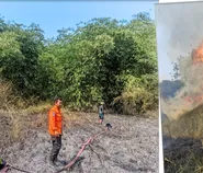 Diduga Berawal dari Puntung Rokok, Kebakaran Lahan Satu Hektare di Sukaresik Berhasil Dicegah Meluas