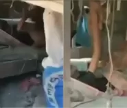 Tertimbun 4 Hari akibat Gempa NTT, Nenek 84 Tahun Paulina Pobi Ditemukan Selamat dalam Reruntuhan