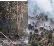 Karhutla Riau 2026 Bakar 904 Hektare, Polda Riau Ungkap 40 Tersangka dan Dugaan Motif Buka Lahan