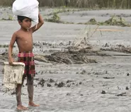 Dari Australia hingga Kalimantan Barat, Dunia Bersiap Hadapi Dampak El Niño