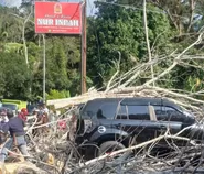 Detik-detik Poros Enrekang–Makassar Tertutup Pohon Tumbang, SUV Rusak dan Kendaraan Mengular