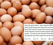 Viral peternak ayam bongkar kelakuan oknum dapur MBG, mau beli telur nyaris busuk hingga manipulasi harga di nota anggaran