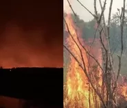 Dua hari Taman Nasional Way Kambas terbakar, petugas ungkap kendala akses dan sumber air
