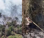 Telisik kasus karhutla yang landa riau, picu dugaan kesengajaan oknum untuk buka lahan hortikultura