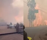 Kebakaran meluas hingga area kafe, kawasan wisata Bromo ditutup total