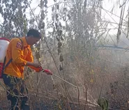 Kebakaran lahan di Dawuan Subang, ilalang seluas 2 hektare terbakar