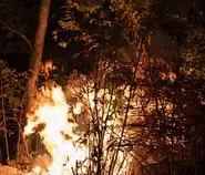 70 Titik api masih membara di Gunung Arjuno-Welirang, kebakaran meluas hingga Kota Batu