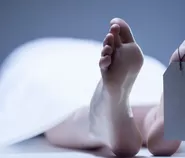 Seorang Dokter Intern Ditemukan Tewas di Apartemen Kalibata, Polisi Selidiki Penyebab Jatuh dari Lantai 18